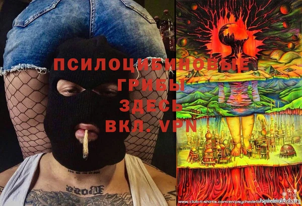 стафф Арсеньев