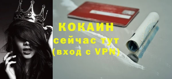 стафф Арсеньев