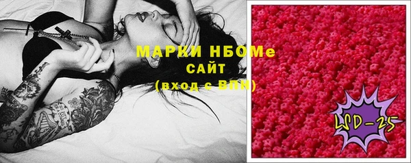 стафф Арсеньев