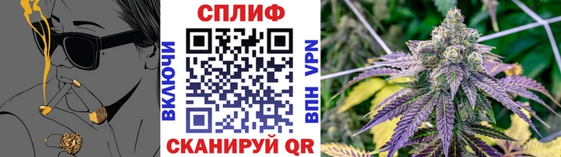 omg как зайти  Минеральные Воды  Марихуана планчик 